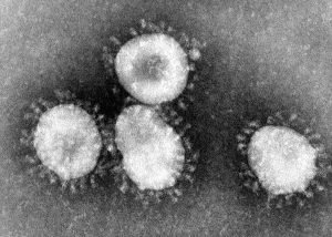 Vista del coronavirus desde un microscopio electrónico