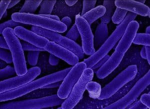 foto-portada-microbiologia